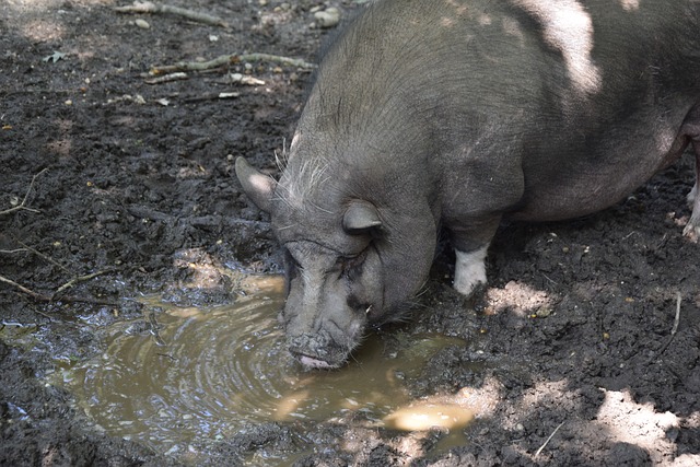從潛力新星 從潛力新星