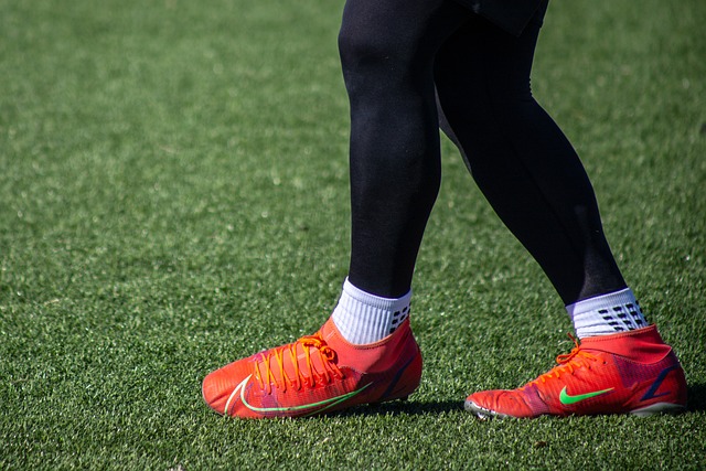 体系下能有 体系下能有