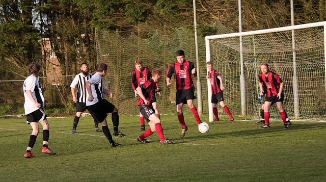 多元化的重 多元化的重